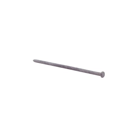 Grip-Rite Common Nail, 8 in L, 100D, Steel, Hot Dipped Galvanized Finish 8HGSPK